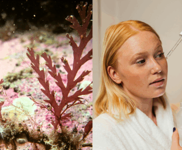 The Ingredients That Will Actually Matter This Year