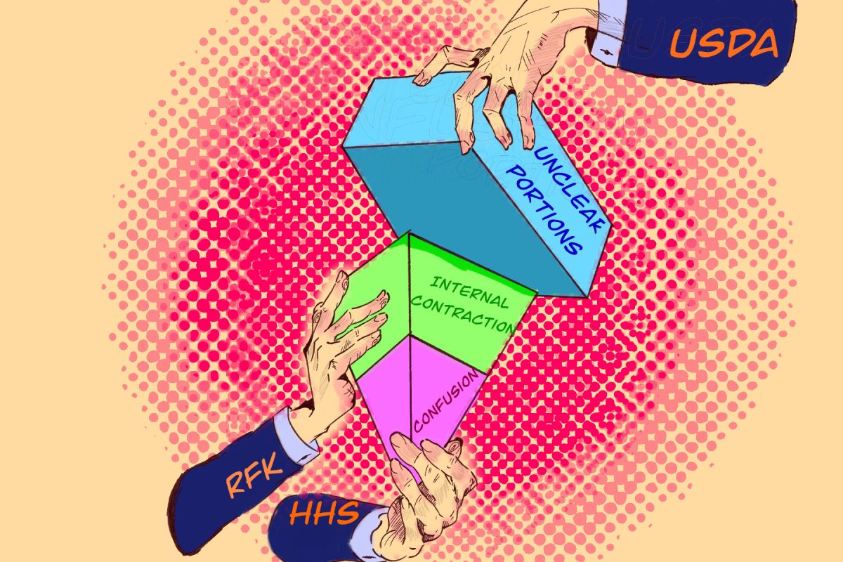 CW/ Hailea-Marie Gooch