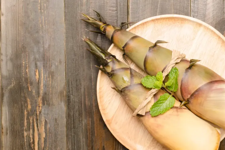 Scientists are rethinking bamboo as a powerful new superfood