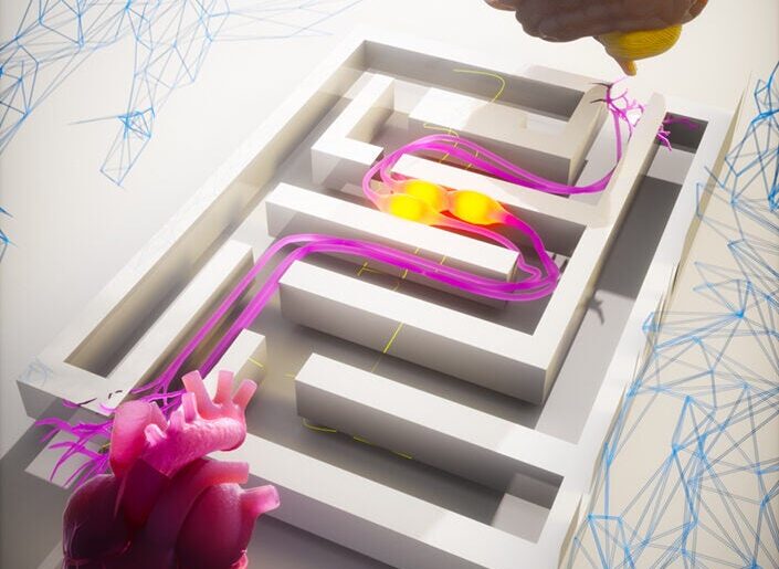 Brighter Side of News