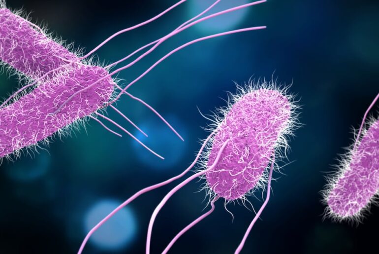 CDC investigates salmonella outbreak linked to supplement sold nationwide – 95.5 WSB