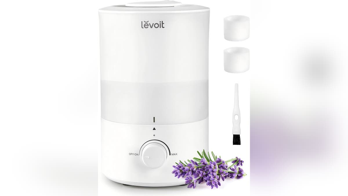 Humidifiers add must-needed humidity to dry, stale air. 