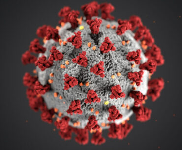 Why COVID-19 Immunity Is So Specific—and Offers Little Protection Against Common Cold Coronaviruses