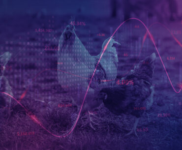 Weekly protein report - US nutrition policy reshapes protein outlook