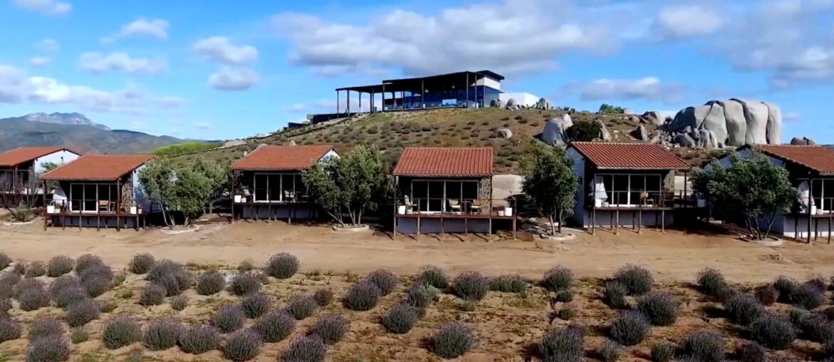 This Adults-Only Wellness Resort In Mexico's Wine Country Has Private Villas, A Spa, And Farm-To-Table Dining