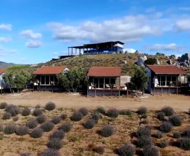 This Adults-Only Wellness Resort In Mexico's Wine Country Has Private Villas, A Spa, And Farm-To-Table Dining