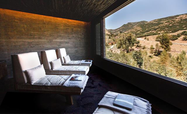 Lounge chairs in front of window.