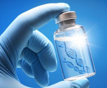 Aging immune systems can be revived with a short-term therapy