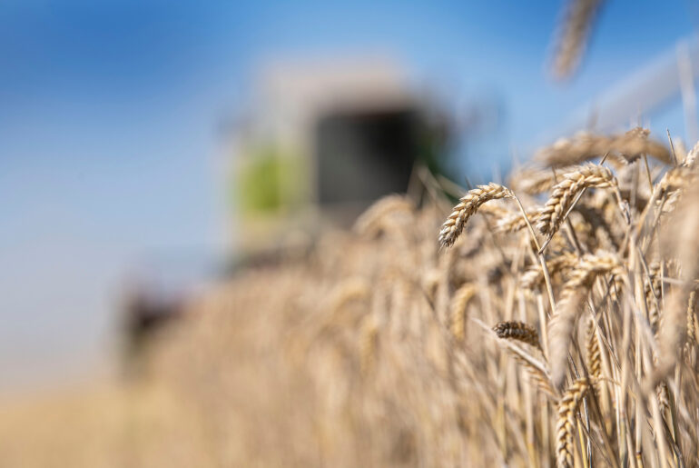 Belarus BNBC outlines feed vitamins production plan