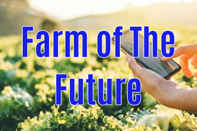 Checking the 'Underground Weather' For Crop Nutrition