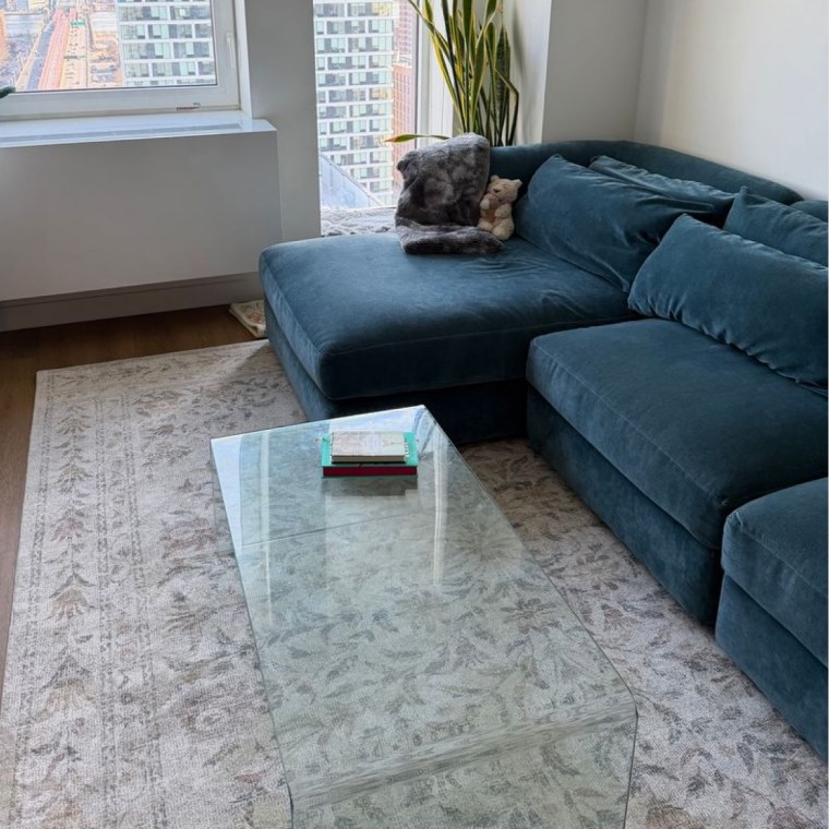 Image of Rifle Paper Co. x Loloi botanical rug with blue couch and glass coffee table.