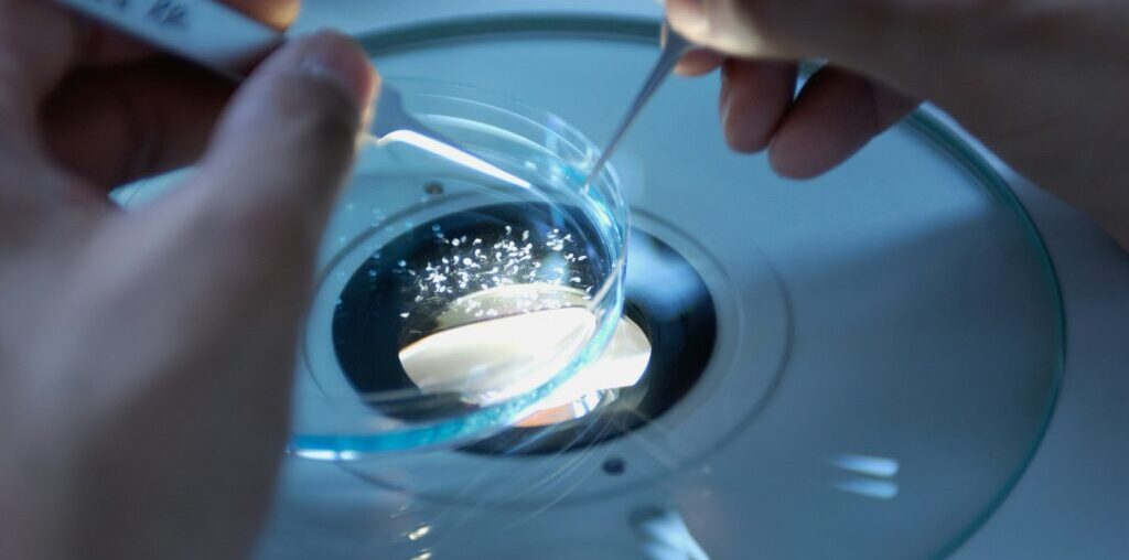 Brain Parasite Infects Immune Cells: Why It's OK