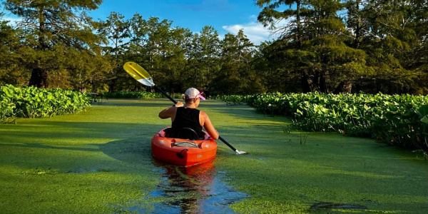 Capturing beauty: Photographer doesn’t have to travel far to find subjects