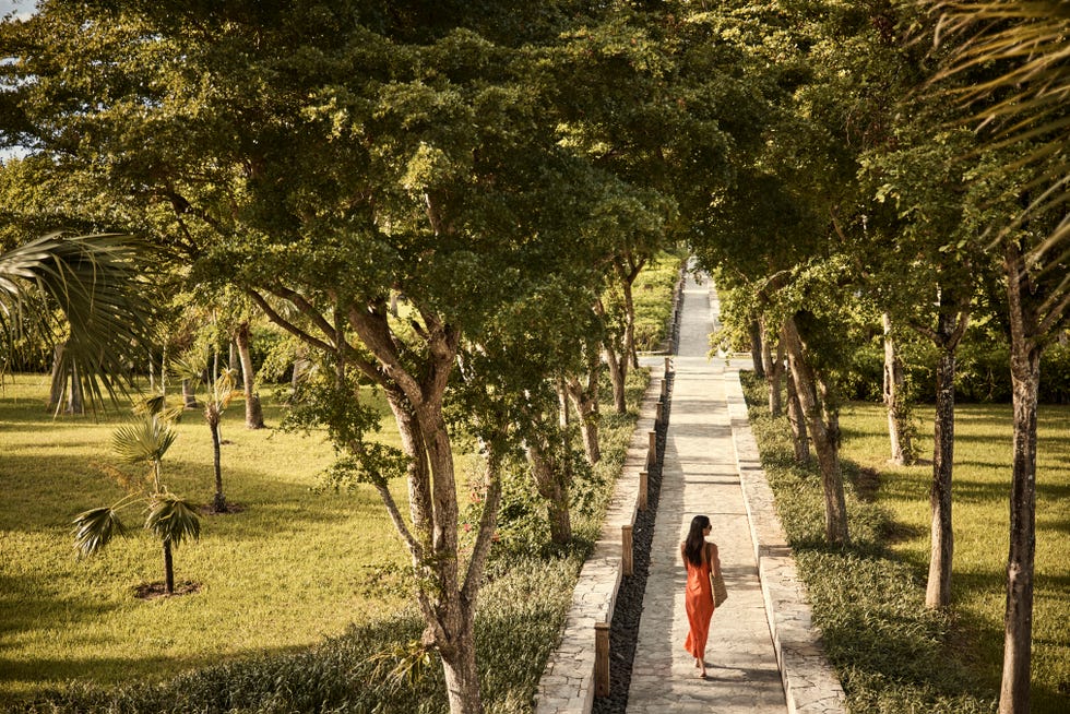 Path to beach at COMO Shambhala, Turks & Caicos, wellness retreat