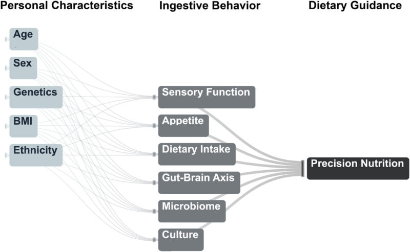 An infographic displaying the characteristics of ingestive behavior on a white background