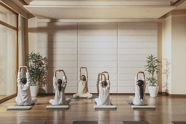 The retreat combines, yoga, Tibetan medicine, and natural healing therapies in a bid to 'rebalance the doshas' - known in the alternative medicine system Ayurveda as the three basic types of energy or principles found within living beings