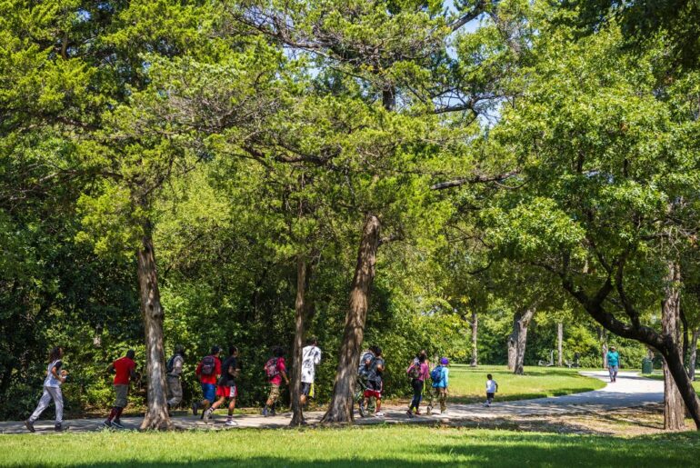 Free Community Wellness Fair at Kiest Park