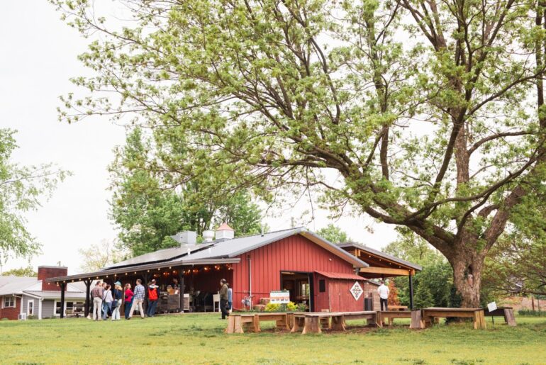 Apples are just one of many kinds of fruits and vegetables that grow on the two acres of land that make up Apple Seeds Teaching Farm, which students can pick themselves and enjoy as a healthy snack. (Photo courtesy of Apple Seeds)