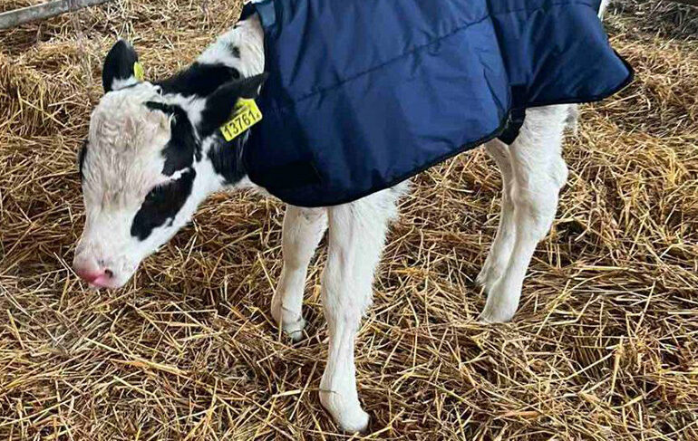 Photo courtesy of Grodnoenergo Company