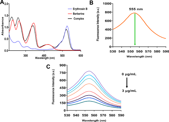 Sustainable spectrofluorimetric determination of berberine in dietary supplements via Erythrosin B Ion-Pair complexation with mechanistic investigation, Box-Behnken optimization, and green chemistry assessment