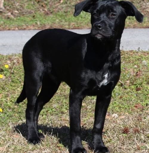 General Has Beauty, Brains And A Whole Lot Of Love To Give!