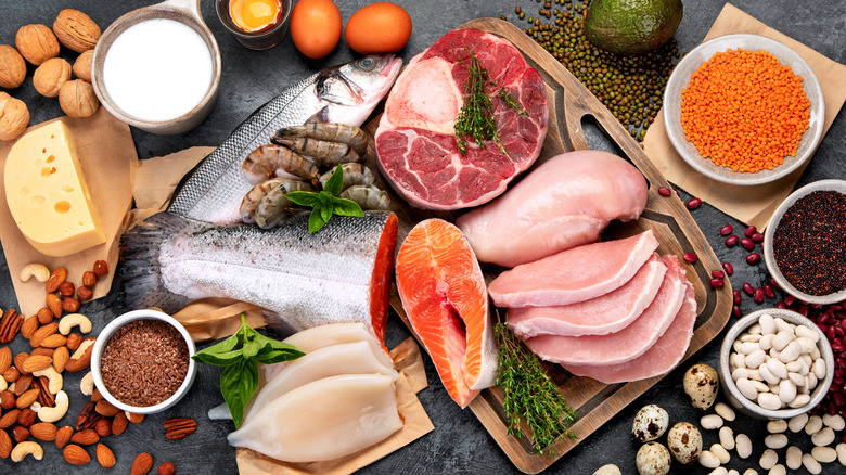 Foods rich in protein