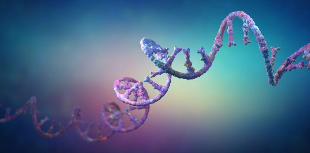 Lilly Inks Up to $11.25B in Cancer, Immune System Deals