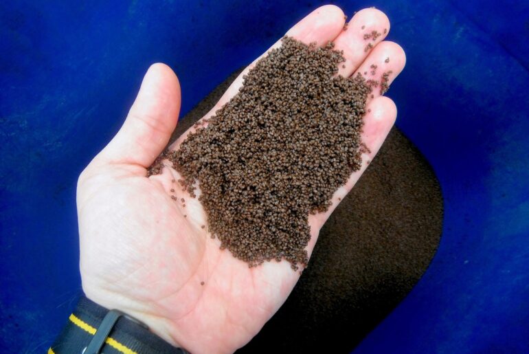 Can aquaculture reduce global malnutrition or is nutrient trade widening inequality?