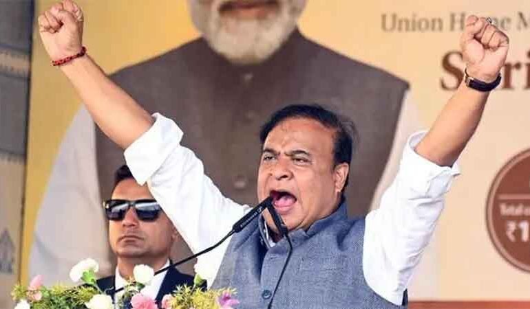 Political Immunity and Impunity