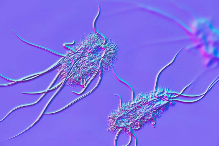 Gut Microbes Actively Support Immunity in People Living with HIV - Life Sciences