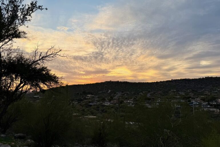 Free Group Grief Therapy Fridays at Wiley’s Wellness Center