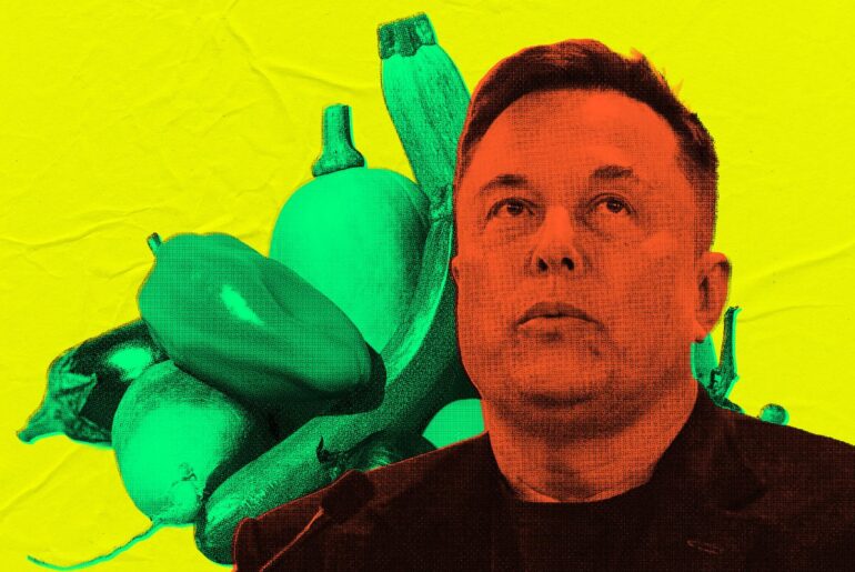 US Government Deploys Elon Musk's Grok as Nutrition Bot, Where It Immediately Gives Advice for Rectal Use of Vegetables