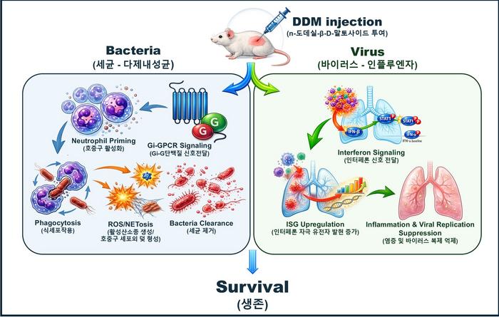 Comparison of the existing system and the new reporter