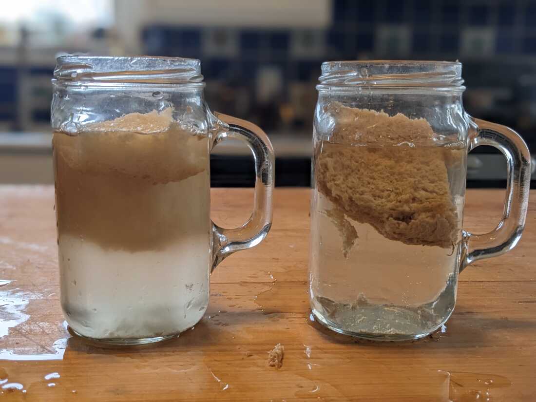 The results of the water test using homemade bread (right) and a store-bought processed loaf (left).