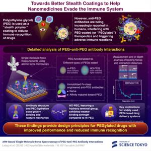 Exploring how the immune system detects drugs coated with ‘stealth’ polymers