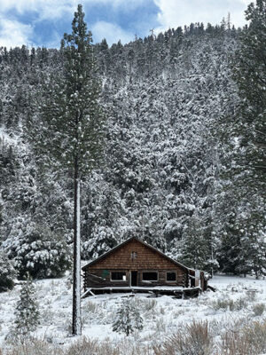 Snow on the mountain