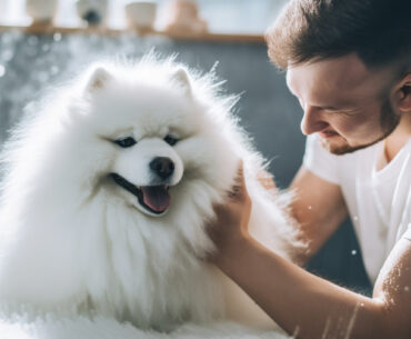 What Are Analysts Saying About Petco Health and Wellness Company (WOOF)?