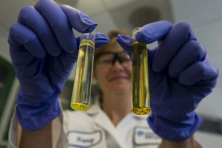 Brain supplements have become a social media wellness trend - but are they safe to take?