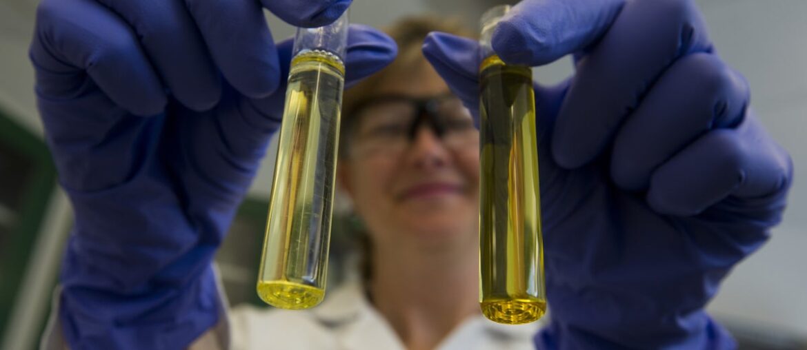 Brain supplements have become a social media wellness trend - but are they safe to take?