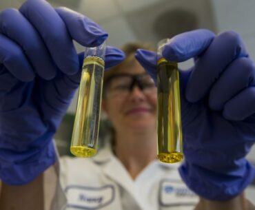 Brain supplements have become a social media wellness trend - but are they safe to take?