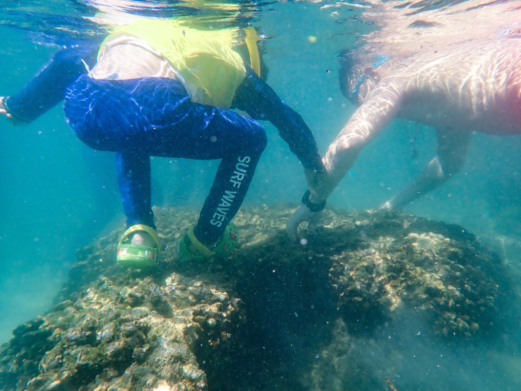 A visitor stepping on corals at Sharp Island, Sai Kung, on October 1, 2025. Photo: Greenpeace.