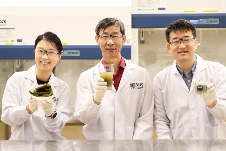NUS Scientists Enhance Kombu Nutrition, Flavor