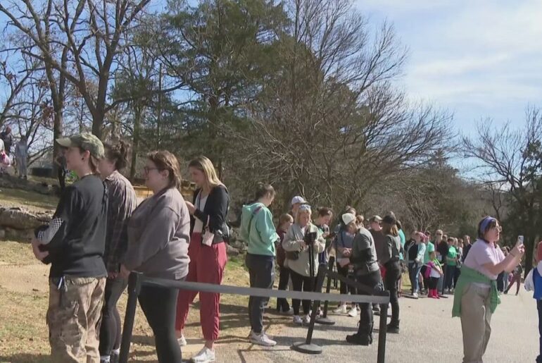 Hundreds hunt for 'Survivor' immunity idol at Arkansas' Cosmic Caverns