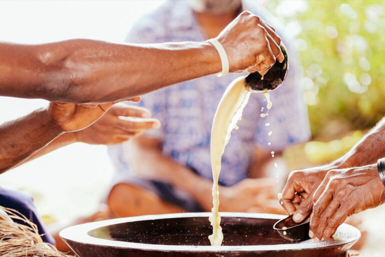 Men lead kava drinking while women top sugary snack consumption during kava sessions