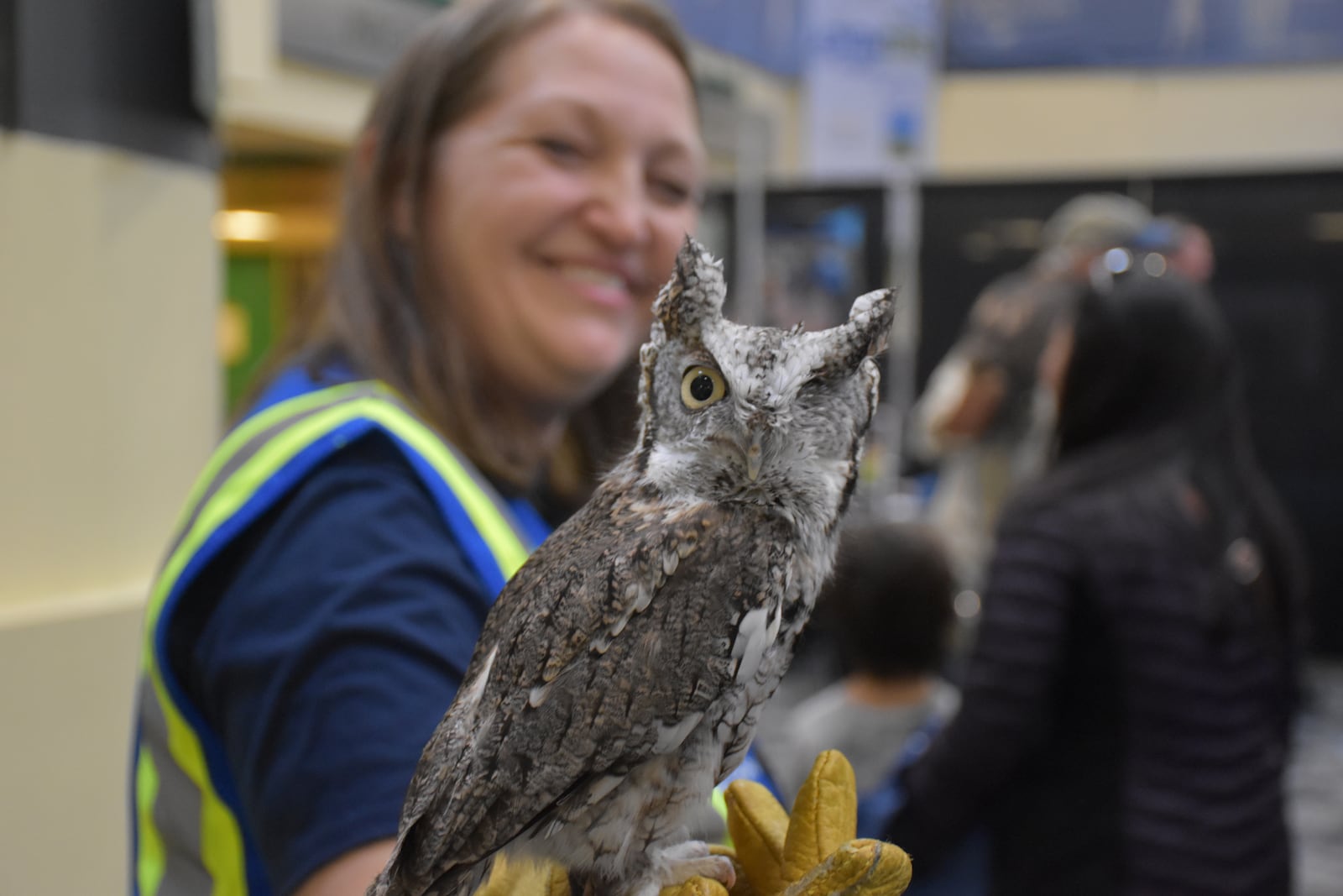 "Juniper," an Eastern screech owl, is an animal ambassador with Five Rivers MetroParks that got to interact with visitors at the Adventure Summit at Wright State University on Saturday, Feb. 21, 2026. CORNELIUS FROLIK / STAFF