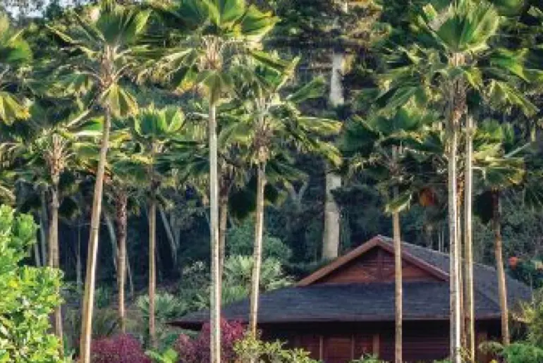 Ultimate Wellness Retreat at Four Seasons Resort