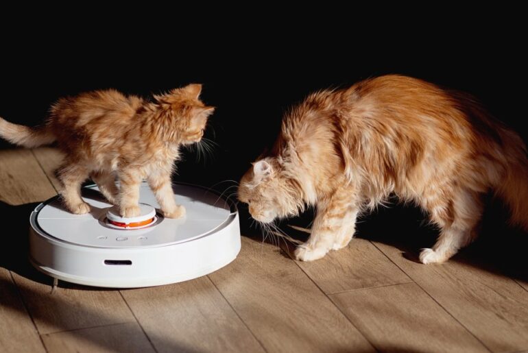 11 Best Vacuums for Pet Hair To Keep Your Home Fur Free, Tested