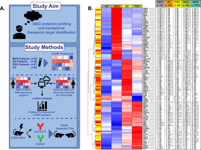 Major depressive disorder shares systemic immune signatures and potential therapeutic targets with inflammatory skin diseases