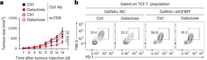 The liver metabolizes dietary galactose to fuel antitumour T cell immunity