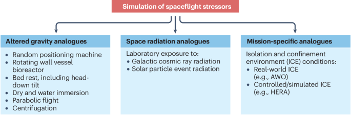 Astroimmunology: the effects of spaceflight and its associated stressors on the immune system
